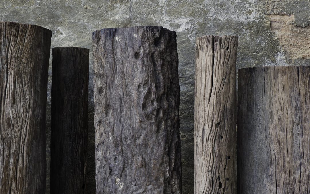 25 ERODED IRON WOOD POST